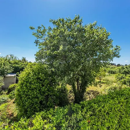 Adriano 2br With Terrace Apartment *
